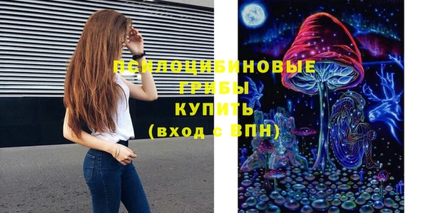 прущие грибы Балахна