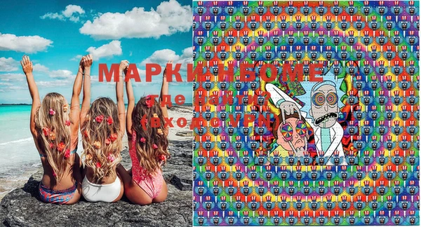 прущие грибы Балахна