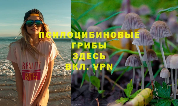 спайс Балабаново