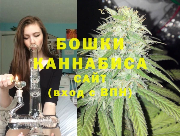прущие грибы Балахна