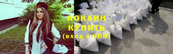 прущие грибы Балахна