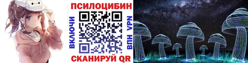 купить наркотик  Обь  Галлюциногенные грибы Cubensis 