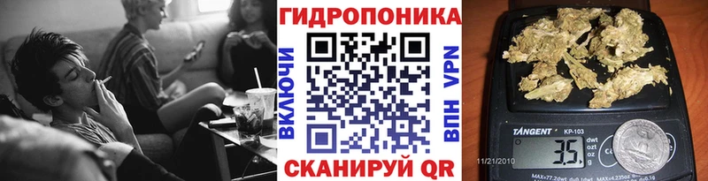 купить мориарти какой сайт Бошки марихуана OG Kush Обь